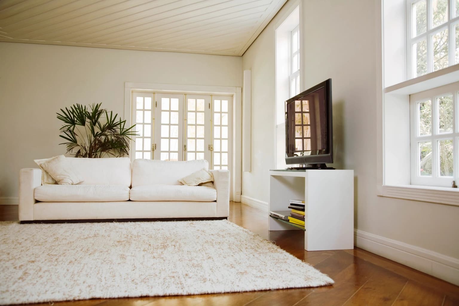 Carpet cleaning in Byhalia, MS