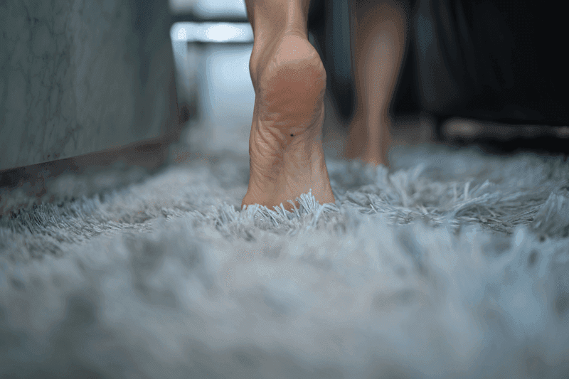 Carpet cleaning in Horn Lake, MS
