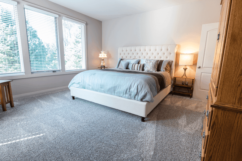 Carpet cleaning in Olive Branch, MS