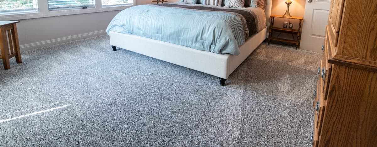 How Often Should You Clean Your Carpets?